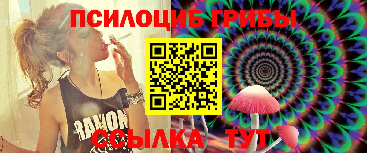 Надым  Псилоцибиновые грибы Psilocybe  Вход с VPN 